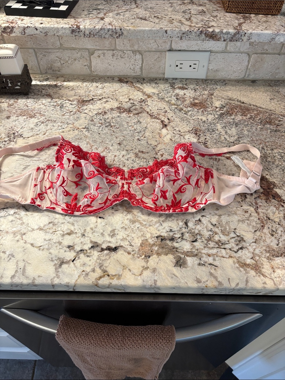 Soma Blush Pink Bra with Red Floral Embroidery